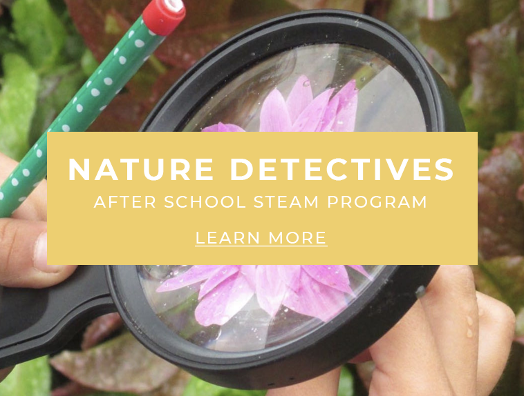 Nature Detectives – Afterschool STEAM for Kinder to 3rd Grade