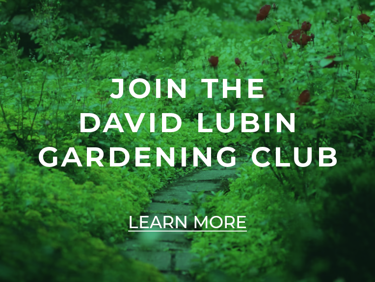 Join Us in the Garden – Sat. 3/16